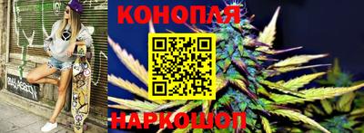 jwh Шебекино