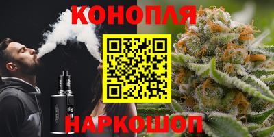 jwh Шебекино