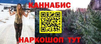 jwh Шебекино