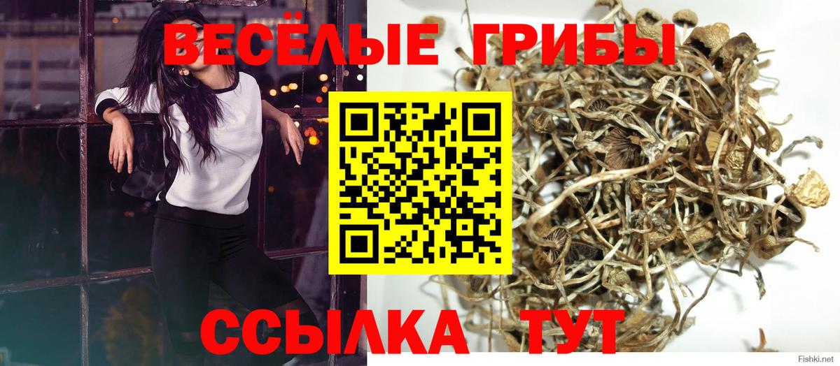 Галлюциногенные грибы мухоморы Минеральные Воды